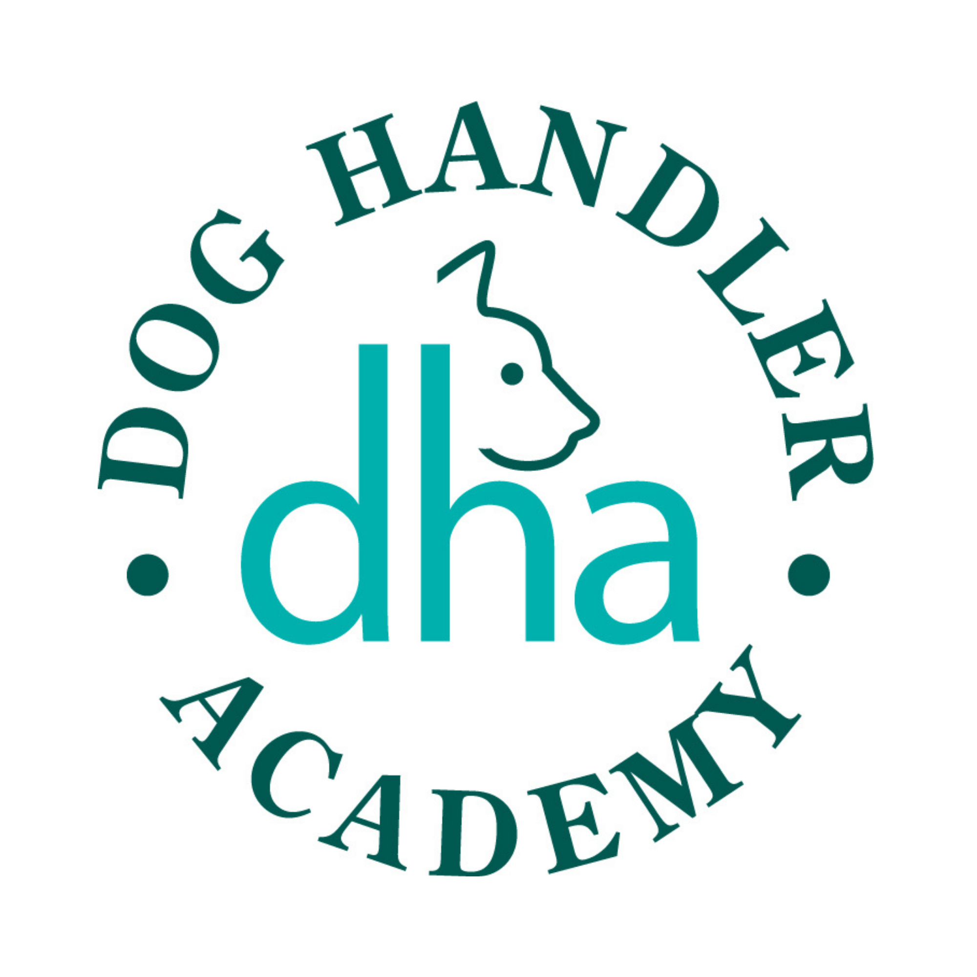 K9 Activity Club & Lodge